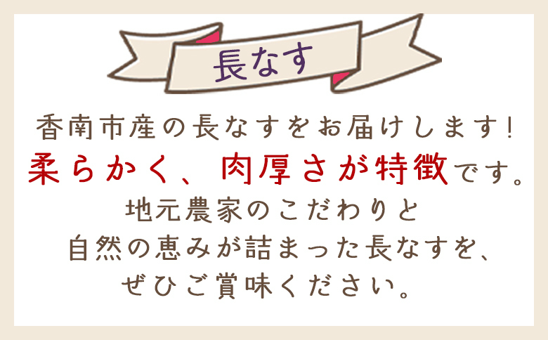 【2025年10月中旬以降発送】長なす 2ｋｇ 家庭用 yr-0071