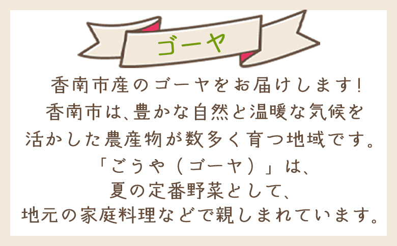【2025年10月以降順次発送】ゴーヤ ２ｋｇ 家庭用 yr-0074