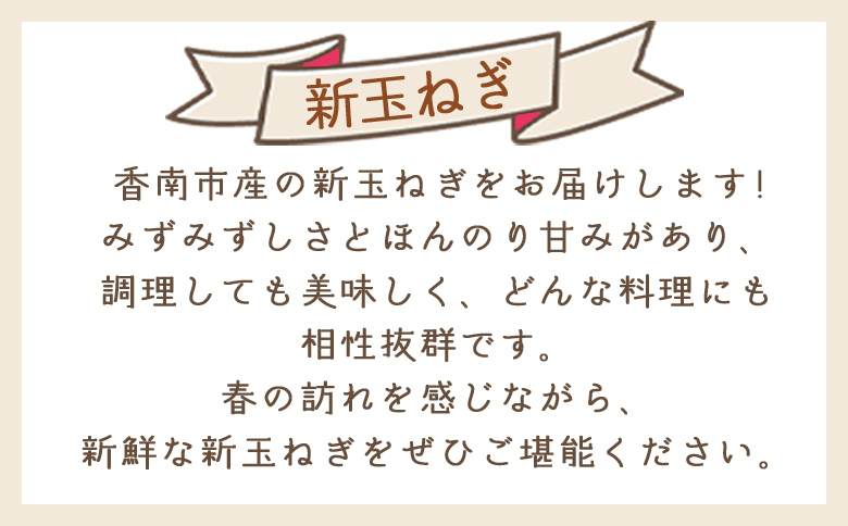 【2026年３月以降順次発送】新玉ねぎ 10kg 家庭用 yr-0080