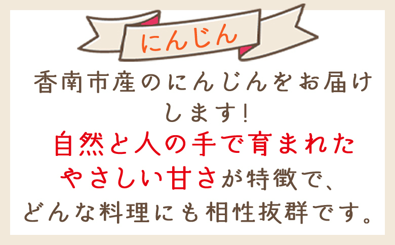 【2025年11月以降発送】にんじん 3kg 家庭用 yr-0082