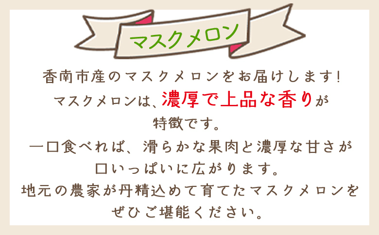 【令和8年3月発送開始】マスクメロン ２玉 家庭用 yr-0089