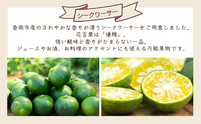 さわやかな香り漂うシークワーサー 3kg yr-0108