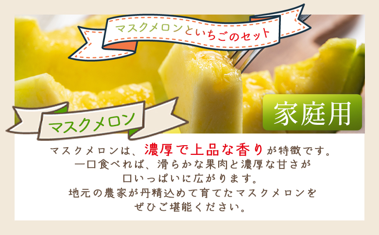 マスクメロン イチゴセット yr-0110