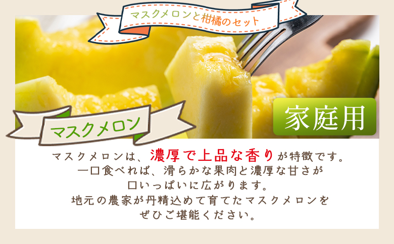 マスクメロン&柑橘2種セット yr-0111