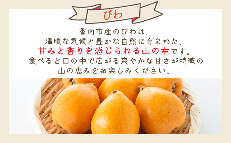 びわ ３パック 約1500ｇ （1パックあたり10～15個入） 香南市産 yr-0116