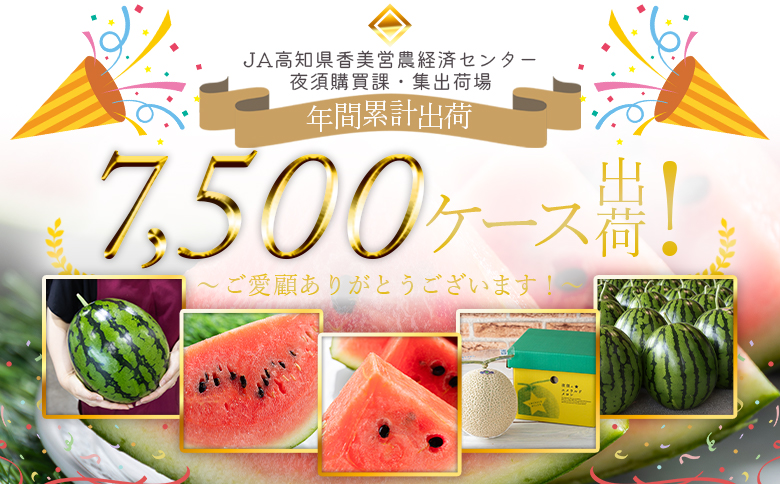 空中立体栽培で太陽の愛情をたっぷり受けた ルナ・ピエナスイカ(大玉) - スイカ 高知県産 ルナピエナ ギフト 贈り物 のし フルーツ大好き 西瓜 果物 夏の果物「2026年5月下旬より順次配送」 yu-0044 1玉 大玉