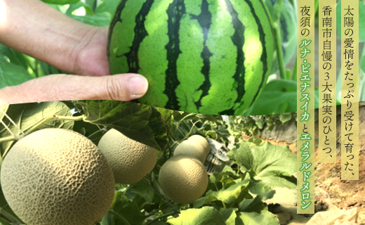 メロン スイカ セット 計2玉 エメラルドメロン ルナ・ピエナスイカ 高知 テレビ朝日「ザワつく!金曜日」で特集 高級フルーツ 青肉 西瓜 人気 詰め合わせ セット - 夜須 フルーツ 果物 中玉 太陽の愛情をたっぷり受けた美しいネット yu-0046