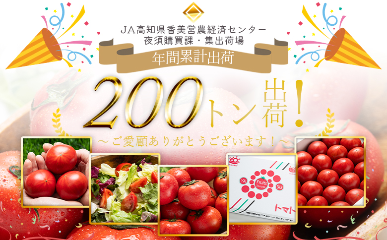 夜須のフルーツトマト 8kg 【旅サラダに取り上げられました！】 先行予約受付 期間限定 季節限定 野菜 やさい フルティカ 完熟 小ぶり 小さめ 糖度 熨斗 のし対応可 贈り物 おやつ サラダ フレッシュ 新鮮 送料無料 産地直送 高知県 香南市 yu-0053 【1回配送】 約8kg