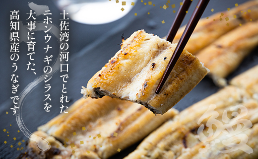 【7日程度で発送】蒲焼きタレ付き うなぎ 白焼き 1kg以上 10尾 100～120g