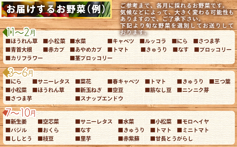 野菜 定期便 こだわりの新鮮野菜 【2ヶ月お届け】 Waf-0002
