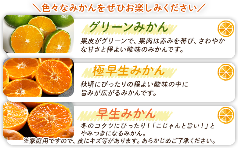 【みかん定期便 4回】土佐乃かなやの家庭用みかん5kg(Lサイズ)×4回 合計20kg Wbe-0123