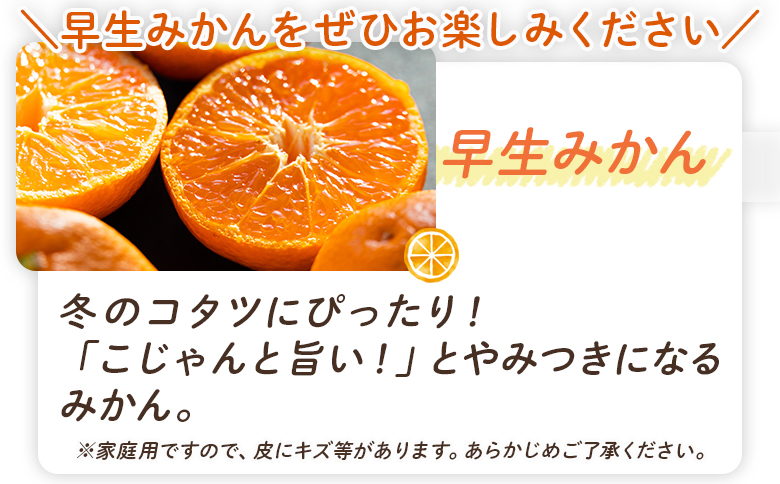【みかん定期便 3回】土佐乃かなやのみかん5kg(S～Lサイズ)×3回 合計15kg Wbe-0127