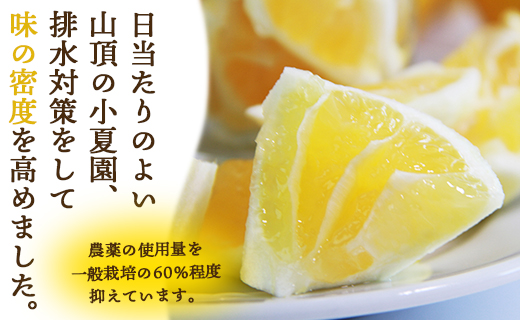 【2026年出荷分】【2回定期便】土佐の高知のくだもの畑 ハウス小夏 5kg(家庭用) 高知 土佐 こなつ 果物 フルーツ 土佐の高知のくだもの畑 【先行予約】 - 家庭用 訳あり 小夏 ハウス ミカン みかん 蜜柑 柑橘 果物 フルーツ こなつ のし対応可 熨斗 国産 Wkd-0034