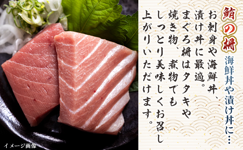 【2回定期便】まぐろ柵 5袋(500g以上) Wnz-0083