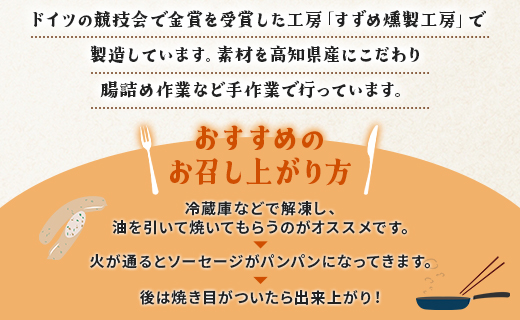定期便 3ヵ月 生産量日本一のニラソーセージ 5本×3ヵ月 合計15本 - ウィンナー ウインナー 惣菜 加工品 にら 韮 香味野菜 やさい 葉物 国産 おつまみ おかず 鍋 ご飯のお供 バーベキュー ギフト 高知県 香南市 Won-0023