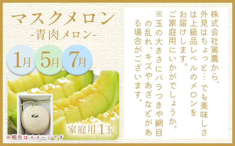 【８回定期便】メロン堪能定期便 Wtn-0043