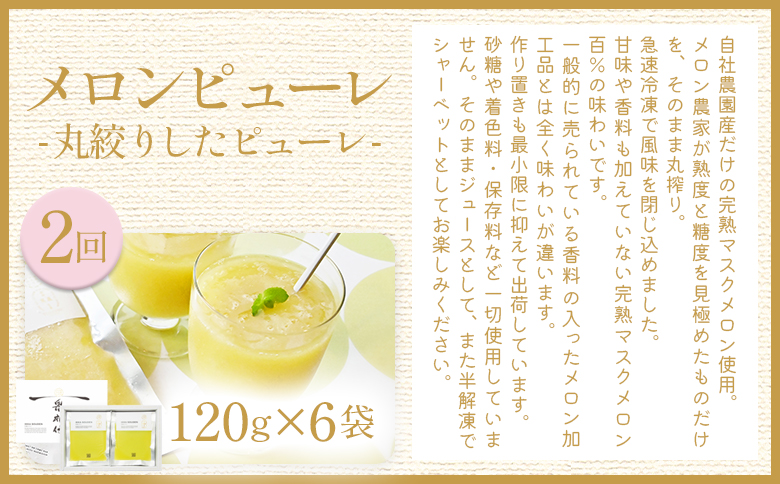 【４回定期便】メロン堪能定期便 Wtn-0054