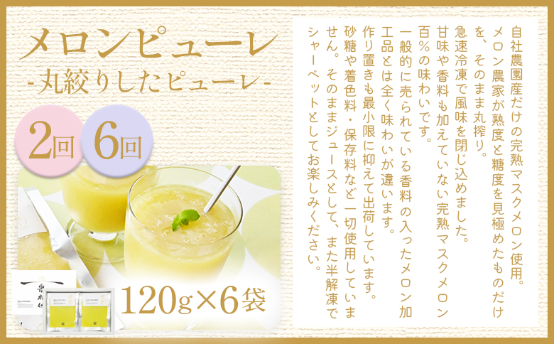 【８回定期便】メロン堪能定期便 Wtn-0055