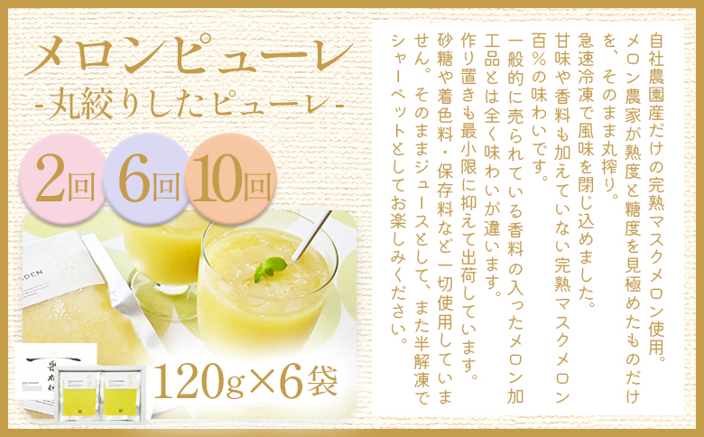 【12回定期便】メロン堪能定期便 Wtn-0056