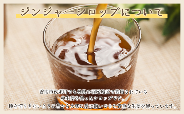 【３回定期便】ジンジャーシロップ150ml×3本 Wyr-0062