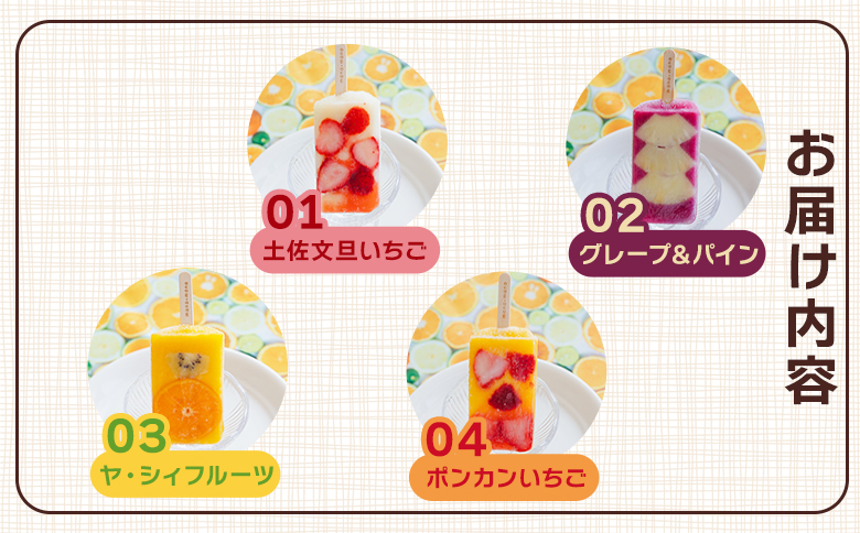 【２回定期便】手作りアイスキャンディー １２本セット Wys-0017