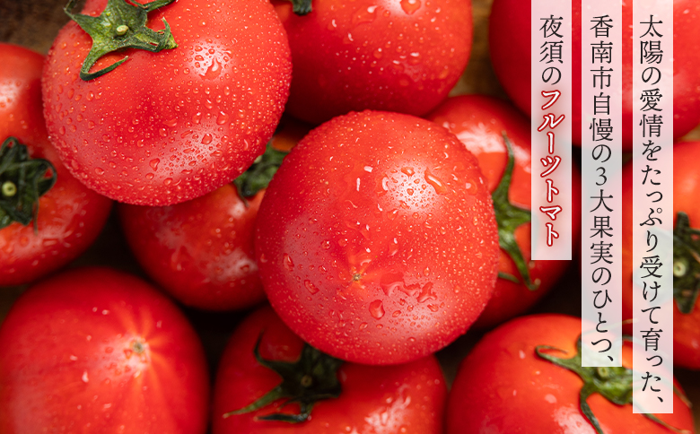 【2回定期便】夜須のフルーツトマト 約2kg Wyu-0026