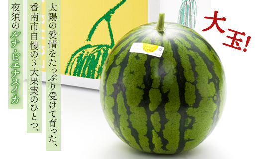 【２回定期便】ルナ・ピエナスイカ(大玉) 1玉 Wyu-0069 1玉【2回定期便】 大玉