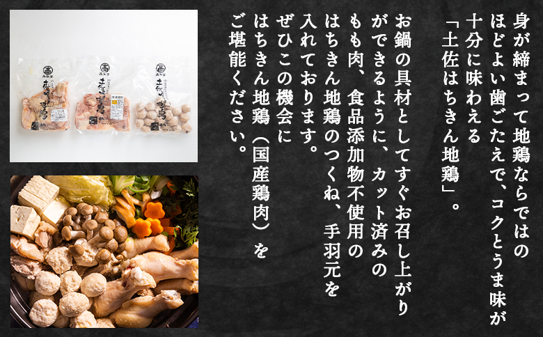 土佐はちきん地鶏 鍋セット 約2～3人前 国産 ad-0001