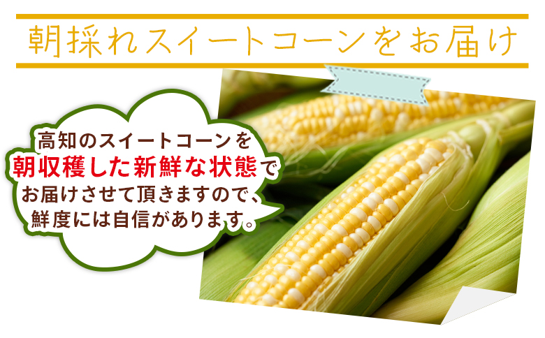 こだわりのスイートコーン 訳あり 10本セット af-0007