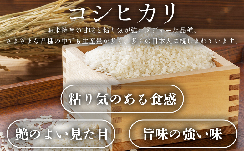 新米 令和7年産 コシヒカリ 5kg - お米 おこめ 国産 米 精米 こしひかり ごはん 白米 ご飯 おにぎり おむすび 料理 調理 防災 非常食 備蓄 早い すぐ届く 早く届く スピード配送 スピード発送 高知県 香南市 at-0046 5kg