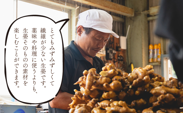 生姜 20kg 香南市産 別役の生姜 bc-0024