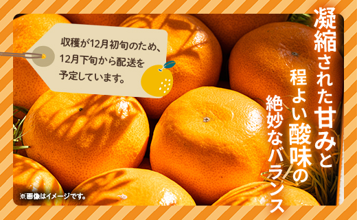 <2026年12月下旬より順次配送＞土佐乃かなや 倭香 皇室献上桐箱入り こだわりの極上みかん 大玉8玉入 贈答用 be-0106
