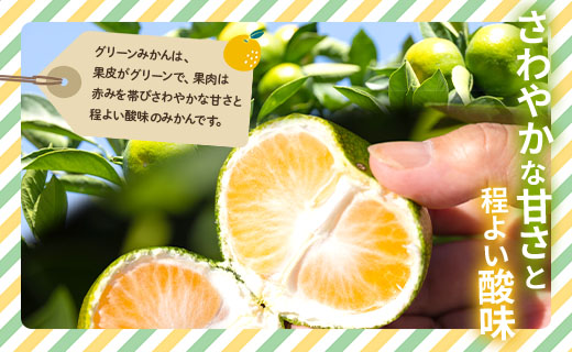 【2026年9月より順次配送】訳あり(家庭用) サイズお任せ グリーンみかん 5kg 3S～Mサイズ be-0117