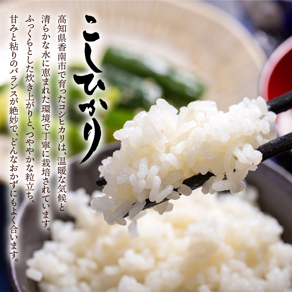 【7日程度で発送】新米 令和7年産 無洗米 コシヒカリ 10kg - お米 白米 精米 早く届く スピード発送 最短配送 早い cs-0002