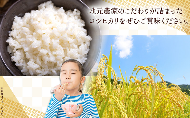 新米 令和7年産 無洗米 コシヒカリ 10kg - お米 白米 精米 cs-0002