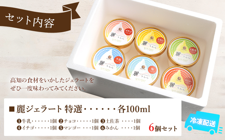 添加物不使用 麗ジェラート 特選 6個 セット - アイスクリーム デザート スイーツ お菓子 洋菓子 詰合せ 詰め合わせ アソート フレーバー ギフト 贈り物 添加物不使用 ドルチェかがみ 高知県 香南市 冷凍 dc-0067