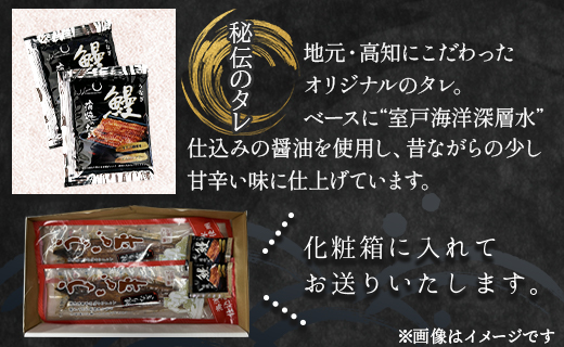 うなぎ蒲焼き 国産 鰻 2尾 100～120g 高知県産養殖うなぎ蒲焼き セット 1万円以上 10000円以上 fb-0142 2尾 100～120g