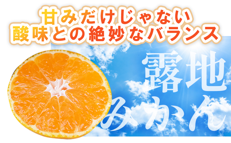 【2026年10月以降順次配送分】ふじ農園の露地みかん 贈答用 10kg (2S～M) - 国産 蜜柑 ミカン 柑橘 果物 フルーツ 贈答 プレゼント ギフト 贈り物 ふじ農園 高知県 香南市 常温 fn-0011 贈答用 10kg (2S?M)