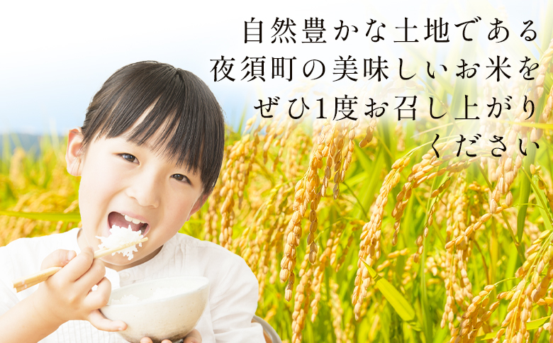 コシヒカリ 計１０kg ga-0007