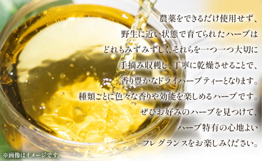 さわやかハーブティー6種×1 ＆ 高知県香南市産黒糖「あまいろ。」×6 - お茶 飲み物 ティーバッグ 茶葉 ミント レモングラス ローズマリー 砂糖 サトウキビ お茶請け 調味料 GreenBase 高知県 香南市 gr-0128