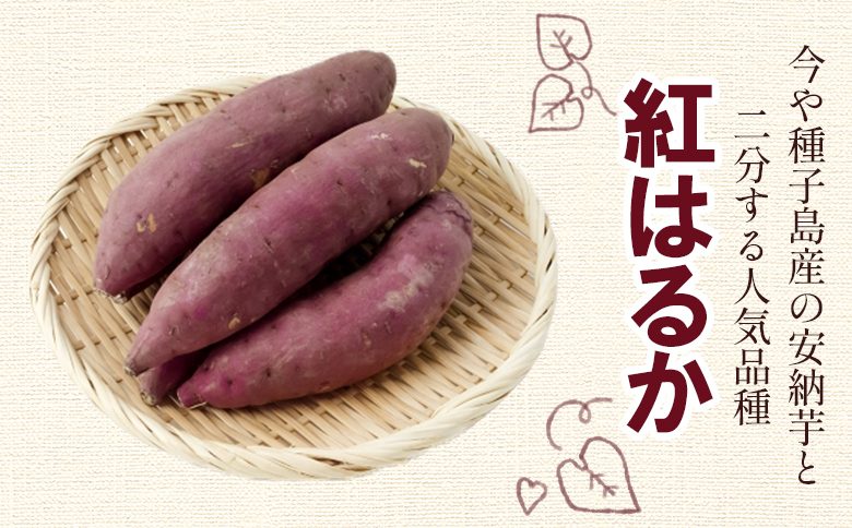 さつまいも 紅はるか10kg gr-0133