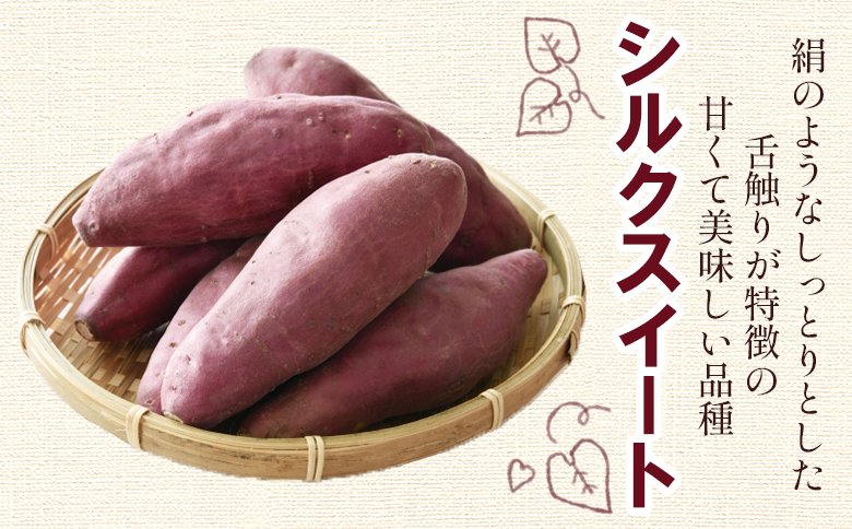 さつまいも シルクスイート 10kg gr-0135