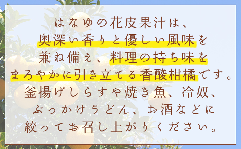 【2026年11月以降順次配送】虎弥太郎 はなゆ黄玉 16パック hy-0004