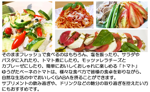 機能性表示食品 ミニトマト ゆうがたベーネ 1kg - ミニトマト プチトマト フルーツトマト ギフト のし対応 高糖度 お歳暮 御歳暮 贈答用 贈り物 is-0013