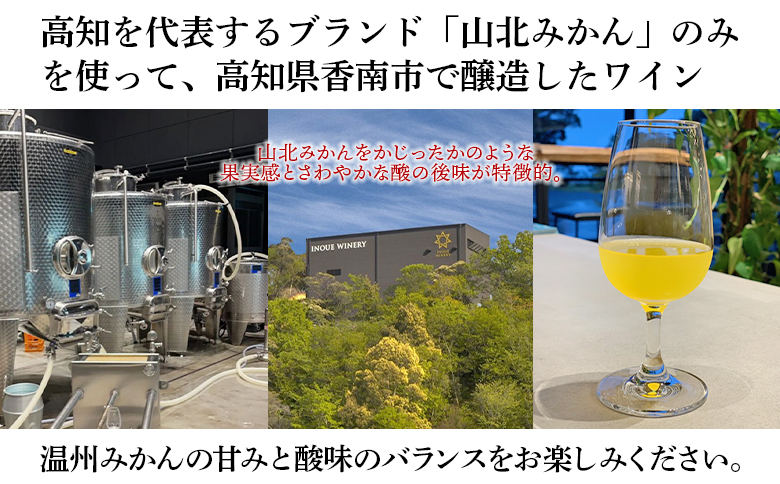 山北みかんワイン 1本 750ml iw-0006