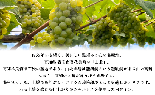 ワイン 人気 白 高知県産ワイン tosa cavatina 山北シャルドネ2024 (750ml×1本) - 白 辛口 お酒 さけ アルコール ボトル 瓶 ギフト 送料無料 高知県 香南市 冷蔵 iw-0007