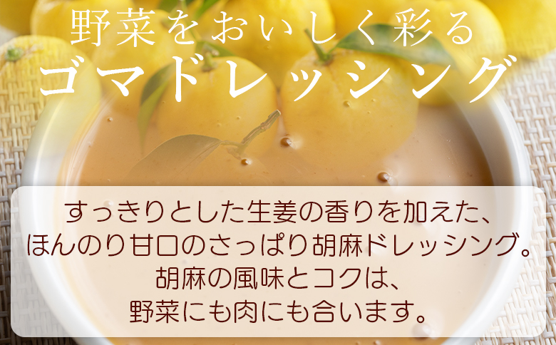 胡麻スッたらうまいで生姜 3本セット(200ml×3) kc-0004