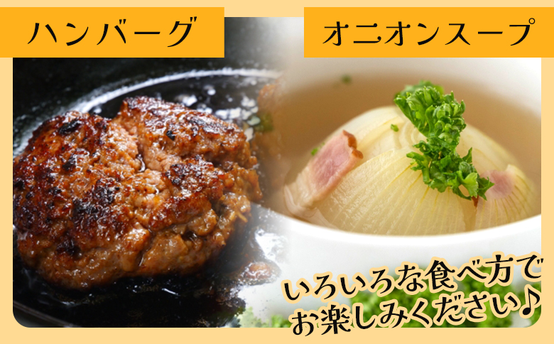 玉ねぎ 約10kg（大小混合・家庭用）- 農福 香南市産 国産 たまねぎ タマネギ 玉葱 野菜 オニオンスープ ハンバーグ 常備野菜 保存野菜 香南くろしお園 高知県 香南市 ke-0006