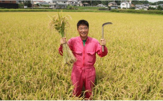 【7日程度で発送】新米 令和7年産 コシヒカリ 土佐の米 よさこい舞 5kg【スピード配送】 kr-0071