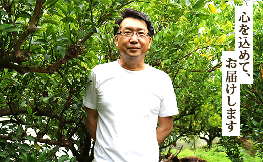 【2026年先行予約】とろっとジューシー柑橘の女王 せとか 8～14玉 ku-0041